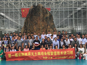 我国信达财物办理股份有限公司河北省分公司与博克企业办理有限债务转让公告